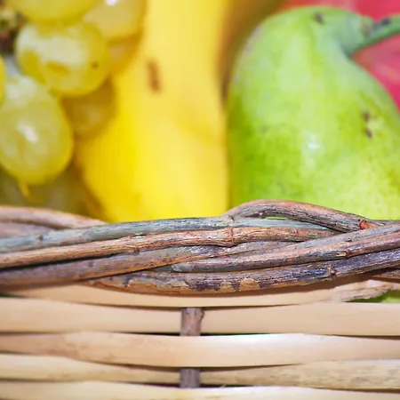 Camara Hotel Agios Prokopios (Naxos)
