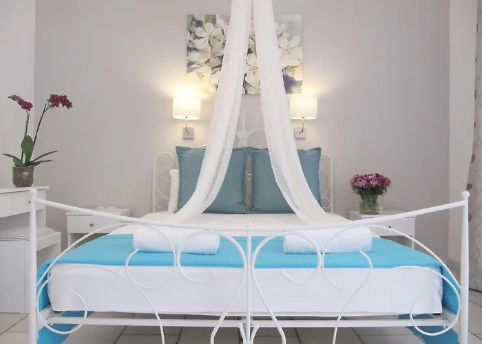 Camara 2* 아기오스프로코피오스