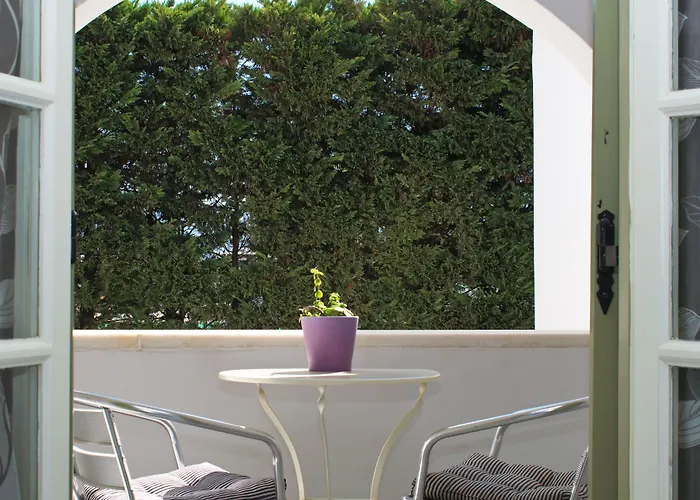 Camara Άγιος Προκόπιος