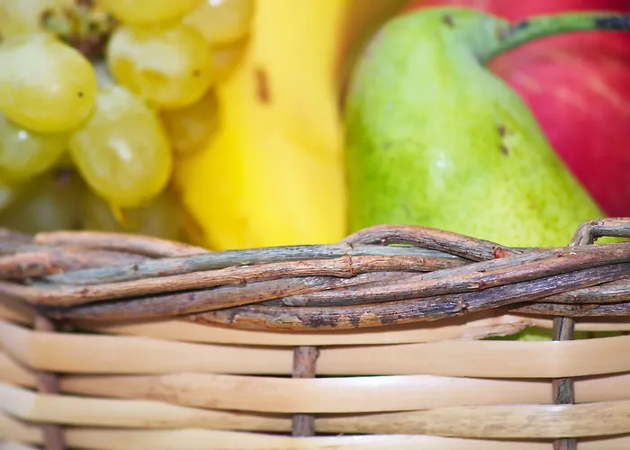 Camara 호텔 아기오스프로코피오스